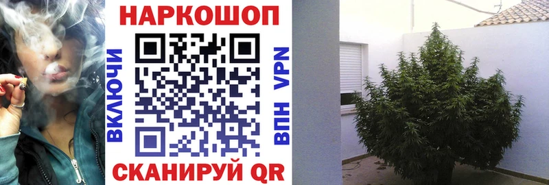 Какие есть наркотики Правдинск МАРИХУАНА COCAIN Меф мяу мяу